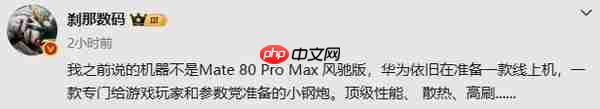 曝华为计划推出顶级性能手机 面向游戏玩家和线上市场