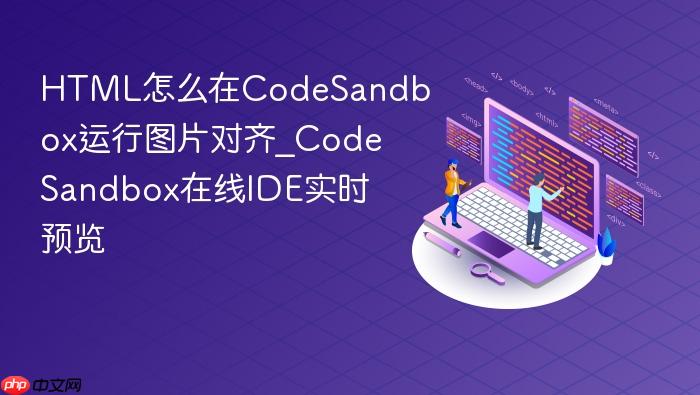 html怎么在codesandbox运行图片对齐_codesandbox在线ide实时预览