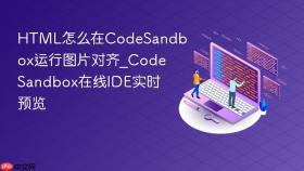 html怎么在codesandbox运行图片对齐_codesandbox在线ide实时预览