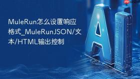 mulerun怎么设置响应格式_mulerunjson/文本/html输出控制
