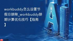 workbuddy怎么设置节假日排除_workbuddy排期计算优化技巧【指南】