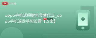 oppo手机返回键失灵替代法_oppo手机返回手势设置【方案】