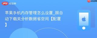 苹果手机内存管理怎么设置_限自动下载关分析数据省空间【配置】