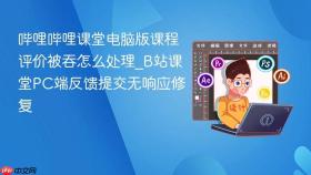 哔哩哔哩课堂电脑版课程评价被吞怎么处理_b站课堂pc端反馈提交无响应修复