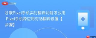 谷歌pixel手机实时翻译功能怎么用 pixel手机跨应用对话翻译设置【步骤】