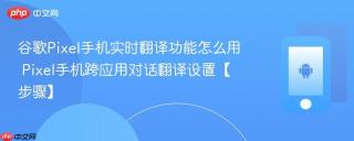 谷歌Pixel手机实时翻译功能怎么用​ Pixel手机跨应用对话翻译设置【步骤】