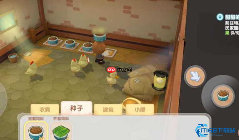 闪亮梳毛秘技:高效提升母鸡产蛋率实战指南
