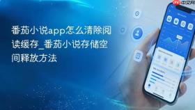 番茄小说app怎么清除阅读缓存_番茄小说存储空间释放方法