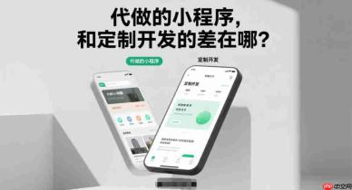代做的小程序,和定制开发的差在哪?