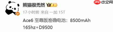 一加Ace6至尊版曝光:8500mAh电池+165Hz屏幕,性能续航双线拉满