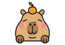 CapybaraAI如何隐藏敏感信息_CapybaraAI隐私保护设置技巧【指南】