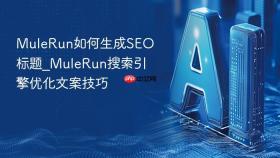 mulerun如何生成seo标题_mulerun搜索引擎优化文案技巧