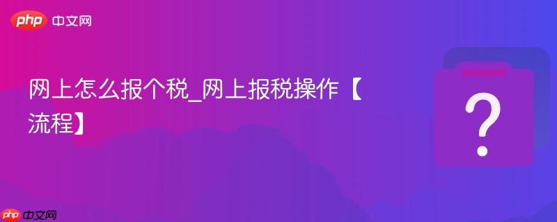 网上怎么报个税_网上报税操作【流程】