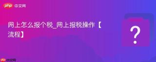 网上怎么报个税_网上报税操作【流程】
