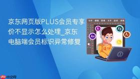 京东网页版plus会员专享价不显示怎么处理_京东电脑端会员标识异常修复