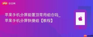 苹果手机分屏能置顶常用组合吗_苹果手机分屏快捷组【教程】