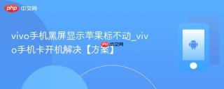 vivo手机黑屏显示苹果标不动_vivo手机卡开机解决【方案】