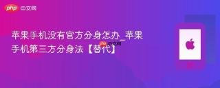 苹果手机没有官方分身怎办_苹果手机第三方分身法【替代】