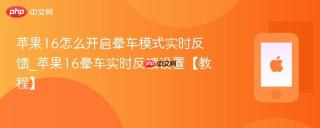 苹果16怎么开启晕车模式实时反馈_苹果16晕车实时反馈设置【教程】