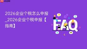 2026企业个税怎么申报_2026企业个税申报【指南】