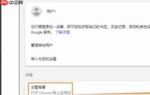 谷歌浏览器怎么设置皮肤-谷歌浏览器设置皮肤的方法