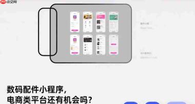 数码配件小程序,电商类平台还有机会吗?