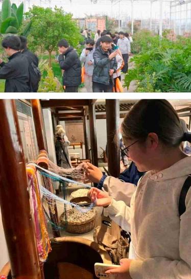 踏青出游，给春天“添个彩”
