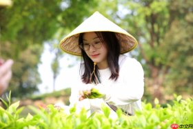 从品到采，春茶旅游能否打开新世界大门？