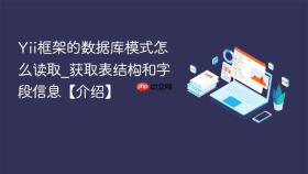 Yii框架的数据库模式怎么读取_获取表结构和字段信息【介绍】