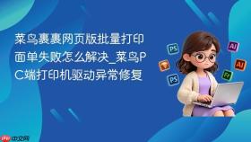 菜鸟裹裹网页版批量打印面单失败怎么解决_菜鸟pc端打印机驱动异常修复