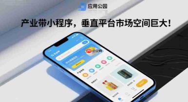 产业带小程序,垂直平台市场空间巨大!