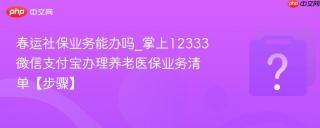 春运社保业务能办吗_掌上12333微信支付宝办理养老医保业务清单【步骤】