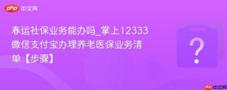春运社保业务能办吗_掌上12333微信支付宝办理养老医保业务清单【步骤】