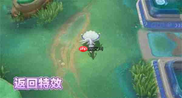 宝可梦大集结阿罗拉九尾电子服获取方法-宝可梦大集结阿罗拉九尾电子服怎么获取