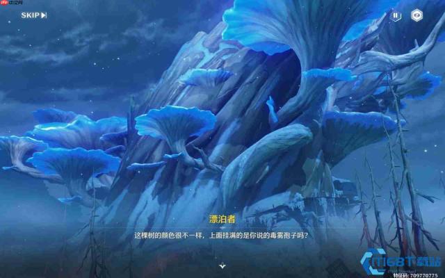 无光森林孢子净化实战指南