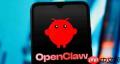 用 npm 安装 OpenClaw 踩了哪些坑？经验总结