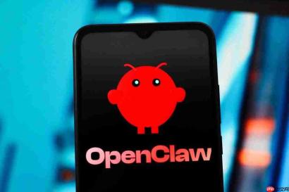 用 npm 安装 openclaw 踩了哪些坑？经验总结 - php中文网