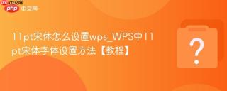 11pt宋体怎么设置wps_wps中11pt宋体字体设置方法【教程】