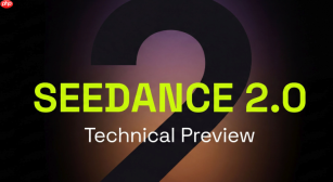 如何制作二次元动态漫?_seedance 2.0动漫模型微调【二次元】