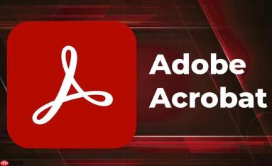 AdobeAcrobat怎么比较两个文档_AdobeAcrobat差异对比功能教程