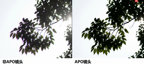 让APO触手可及:唯卓仕35mm/55mmF1.8 EVO 如何打破百年光学门槛?