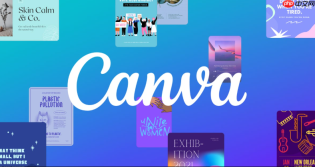 canva可画字体情绪：不同字体传达不同性格