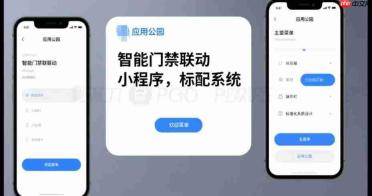 智能门禁联动小程序,标配系统