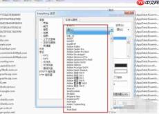 EveryThing怎么改变字体-EveryThing改变字体的方法