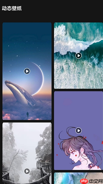 lr壁纸大全app正版-lr壁纸大全app1.4