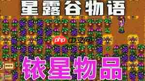 星露谷物语如何收集铱星品质道具