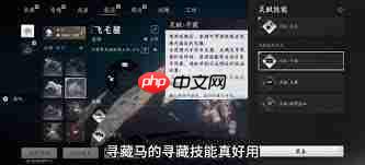 燕云十六声寻藏技能怎么使用