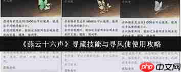 燕云十六声寻藏技能怎么使用
