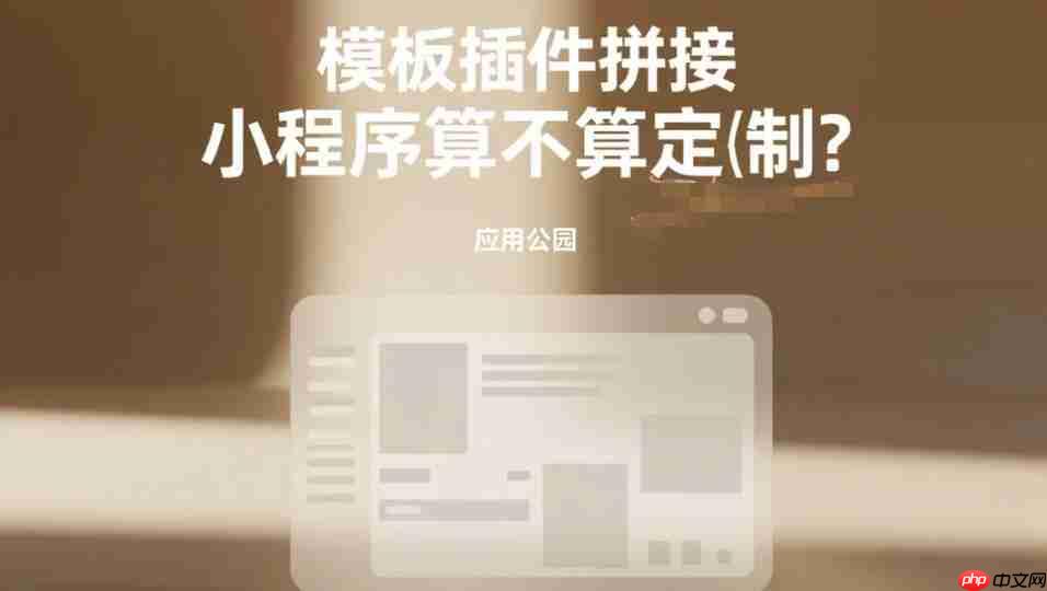 模板插件拼接小程序算不算定制?