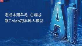零成本薅羊毛_白嫖谷歌colab跑本地大模型